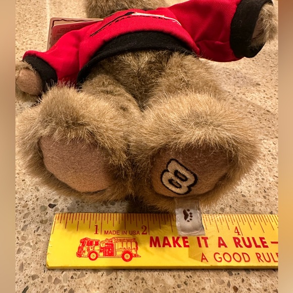 Boyds Racing Family Dale Earnhardt Jr #8 NASCAR Teddy Bear 10” With Tag - Picture 13 of 16